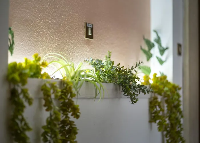 Orchidea For Tourists Hesperia Hosp Pensjonat Modena