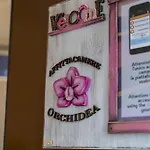 Orchidea For Tourists Hesperia Hosp Affittacamere