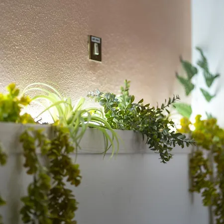 Orchidea For Tourists Hesperia Hosp Pensión Módena