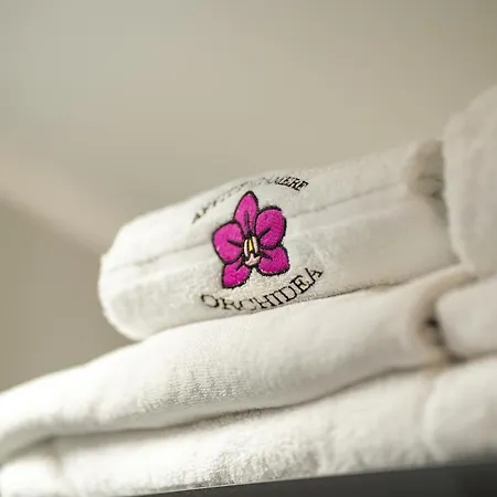Orchidea *