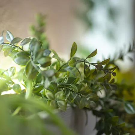 Konukevi Orchidea For Tourists Hesperia Hosp Modena