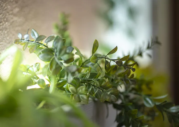 Konukevi Orchidea For Tourists Hesperia Hosp Modena